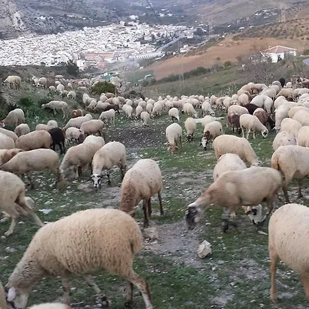 Vista A La Sierra Πανσιόν Valle de Abdalagís